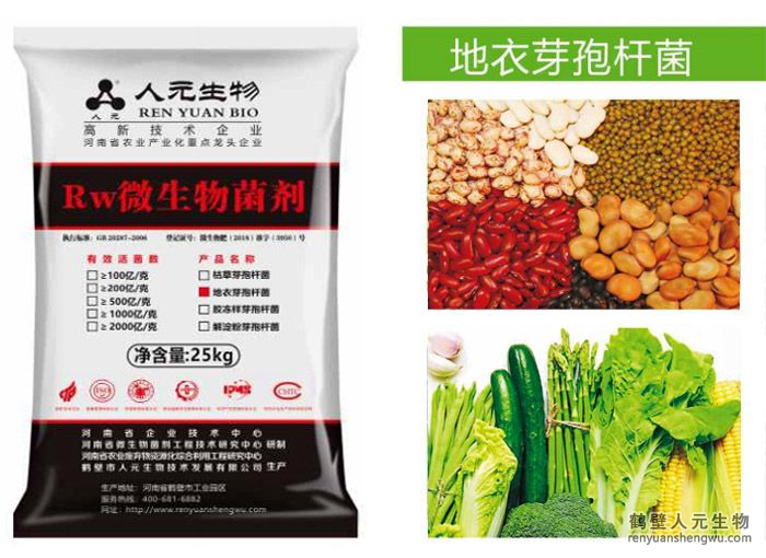 地衣芽孢杆菌剂