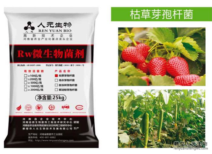 枯草芽孢杆菌剂