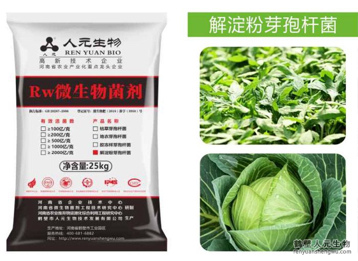 解淀粉芽孢杆菌剂